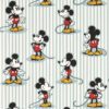 Mickey Stripe 217271